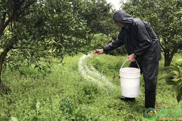 弱势果树施什么肥好？-图片版权归惠农网所有