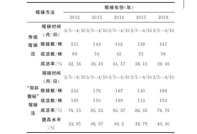 核桃高位双斜锯砧嫁接技术