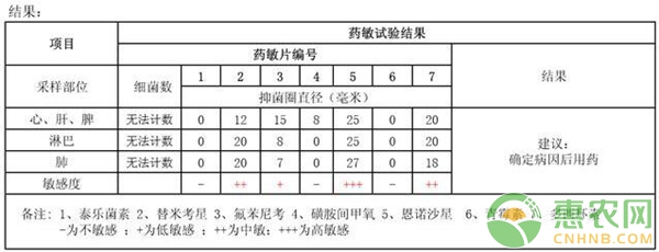 药敏试验