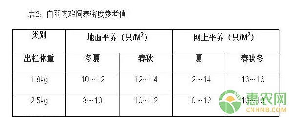 冬季白羽肉鸡养殖技术及饲养管理要点