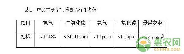 冬季白羽肉鸡养殖技术及饲养管理要点