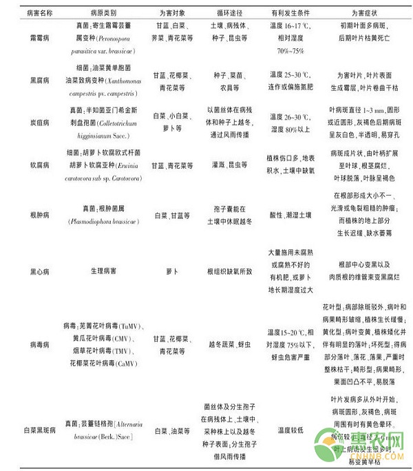 十字花科蔬菜常见病虫害及生物防治技术