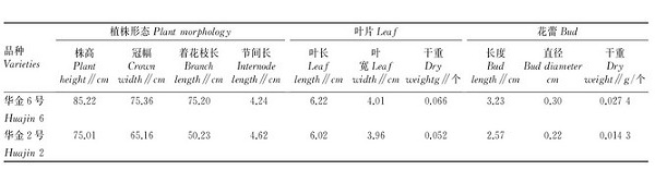 金银花“华金6号”高产栽培管理技术要点