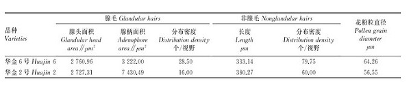 金银花“华金6号”高产栽培管理技术要点