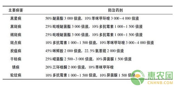 建宁县圆黄梨高效丰产栽培管理技术