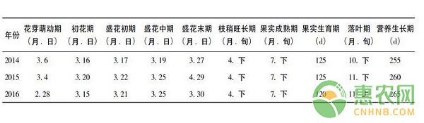 建宁县圆黄梨高效丰产栽培管理技术