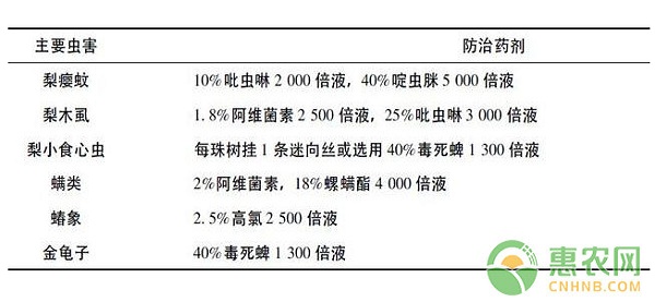 建宁县圆黄梨高效丰产栽培管理技术