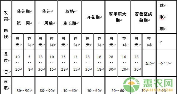 温室葡萄高效种植管理技术