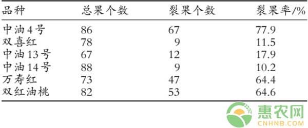 有哪些原因导致油桃裂果？如何防治油桃裂果？