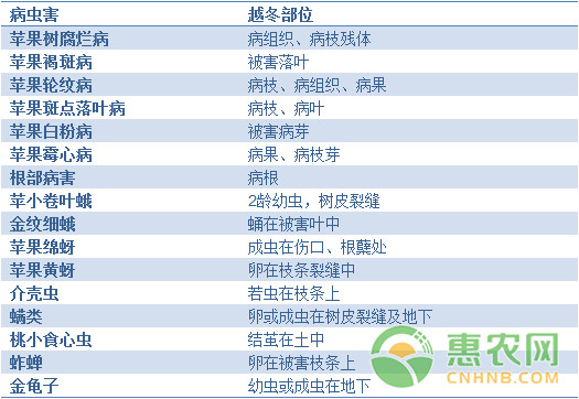 果园冬春季清园管理方案