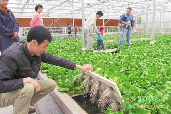 常见蔬菜无土栽培营养液配方