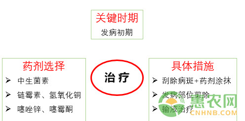 猕猴桃溃疡病如何进行有效防治？猕猴桃溃疡病的科学防治措施