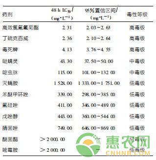 浅谈大棚草莓的蜜蜂管理要点