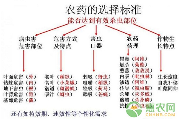 如何经营管理好一个果园？果农必看的36条植保知识！