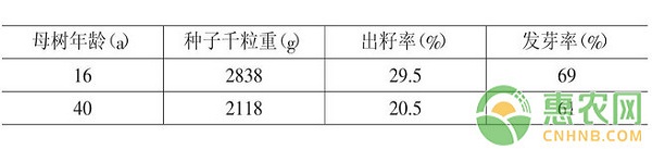 南酸枣人工育苗技术