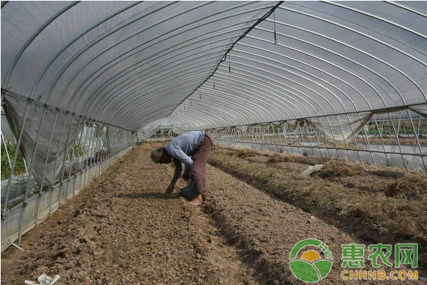 设施大棚菜秸秆生物反应堆技术