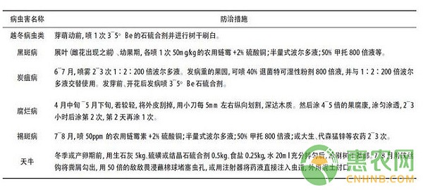 成都地区核桃低效林类型划分及改造技术