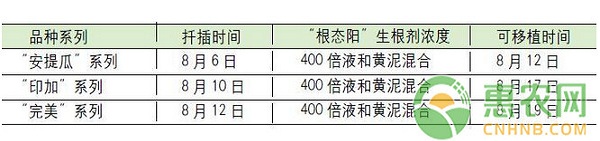 万寿菊盆栽的栽培技术及病虫害防治