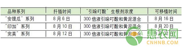 万寿菊盆栽的栽培技术及病虫害防治