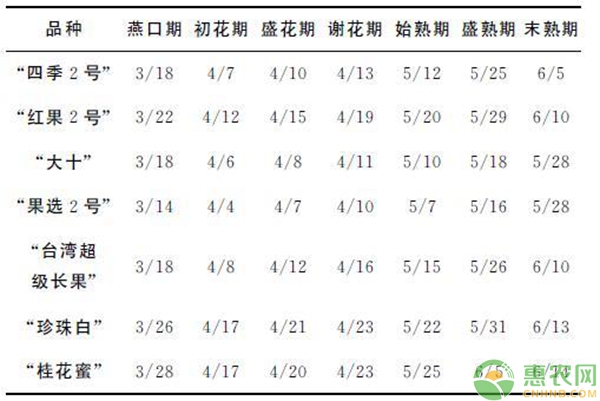 不同果桑品种物候期比较（月／日）