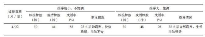 秦岭地区核桃提高高接成活率和保存率的技术探究