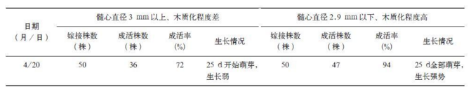 秦岭地区核桃提高高接成活率和保存率的技术探究