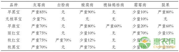 浙江地区宝系列葡萄品种引种与栽培管理