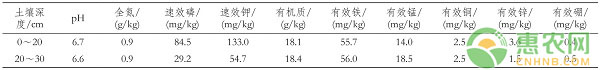 浙江地区宝系列葡萄品种引种与栽培管理