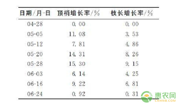 红色沙梨怎么种？红色沙梨新品种“彩云红”的栽培技术详解