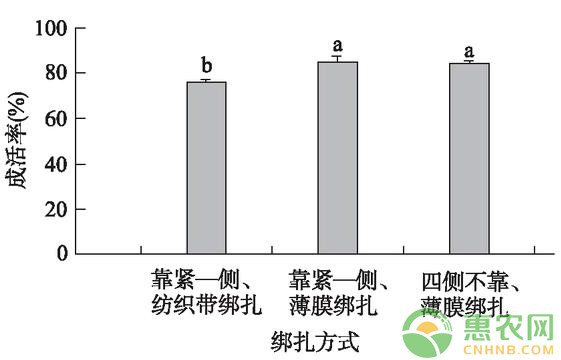 浅谈核桃改良型芽接技术的成活率