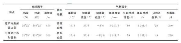 秃杉怎么栽培？珍贵树种秃杉引种栽培技术的研究