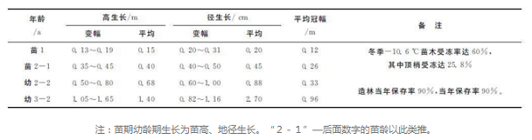 秃杉怎么栽培？珍贵树种秃杉引种栽培技术的研究