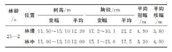 秃杉怎么栽培？珍贵树种秃杉引种栽培技术的研究