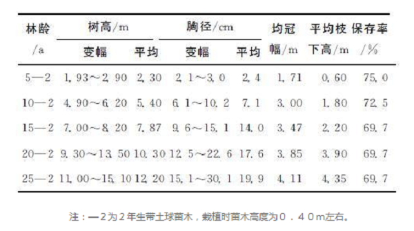 秃杉怎么栽培？珍贵树种秃杉引种栽培技术的研究