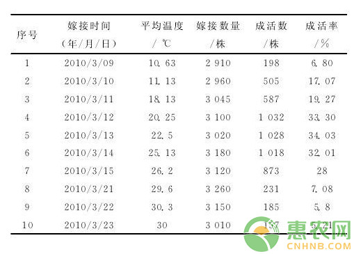 浅谈温度和湿度对山核桃嫁接成活率的影响