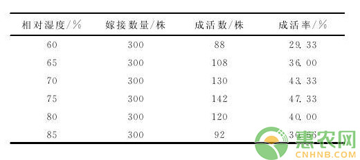 浅谈温度和湿度对山核桃嫁接成活率的影响