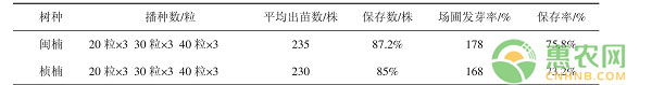 祁门县闽楠和桢楠两年生容器苗育苗技术