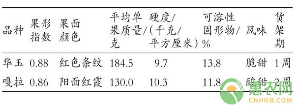 河南商丘苹果早熟品种的引种栽培技术