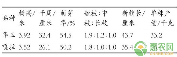 河南商丘苹果早熟品种的引种栽培技术