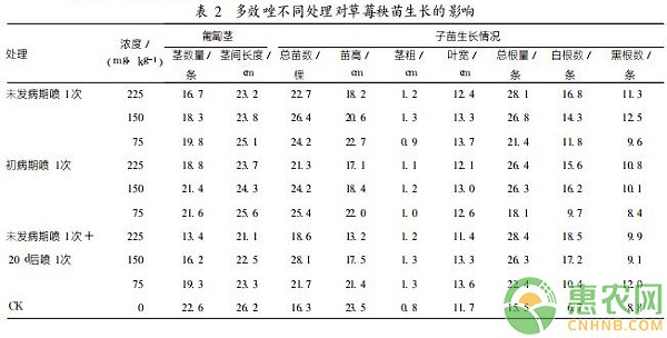 浅谈多效唑对草莓生长过程中的影响