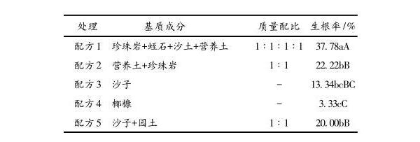 基金项目：江苏凤尾竹埋节繁殖技术研究