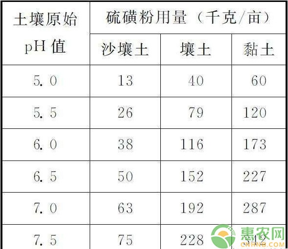 浅析蓝莓栽培土壤改良技术要点