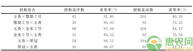 湖北省早熟梨新品种“玉香”主要性状及栽培技术