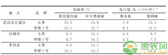 湖北省早熟梨新品种“玉香”主要性状及栽培技术