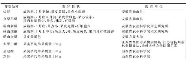 基金项目：砀山酥梨及其育种利用价值