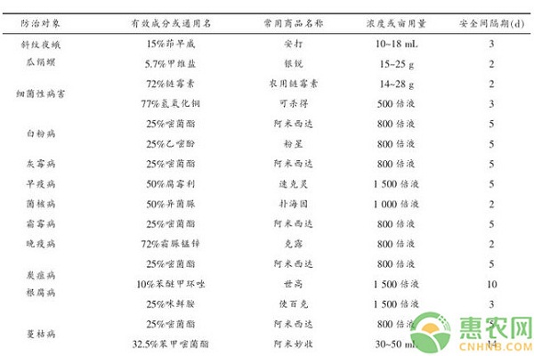 高山西瓜嫁接栽培技术规程