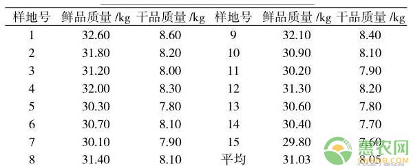 福建省尤溪县多花黄精栽培技术（附经济效益分析）