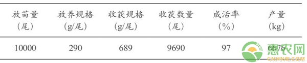 大菱鲆北鱼南养试验小结