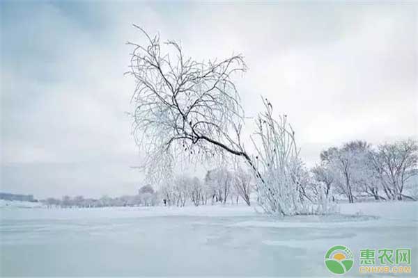 大雪到，寒冬始