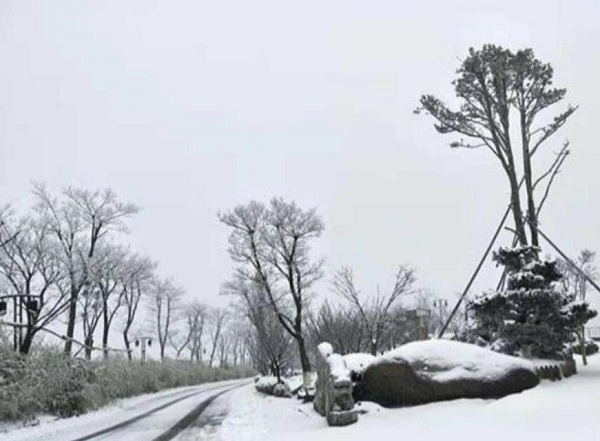 本轮寒潮为啥南方降雪比北方明显（南方大范围降雪）